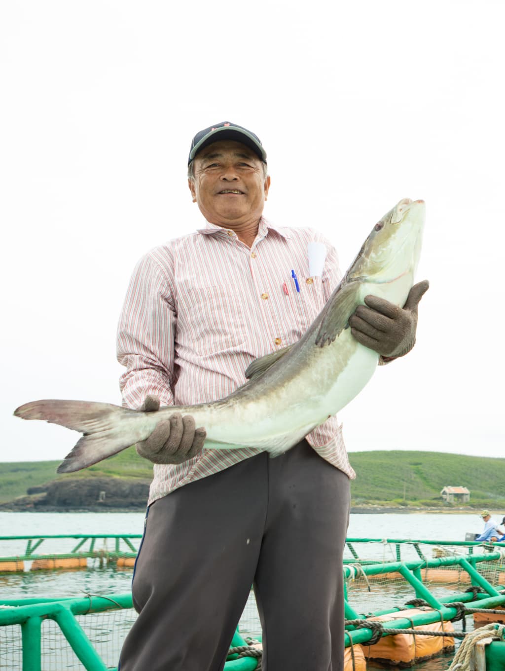 海洋台灣夢 澎湖 海上養魚 漁養澎湖高產值觀光也靠它 天下雜誌