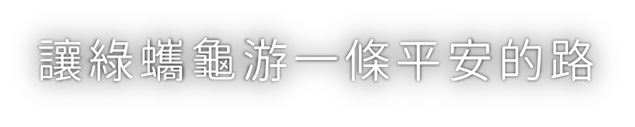 讓綠蠵龜游一條平安的路